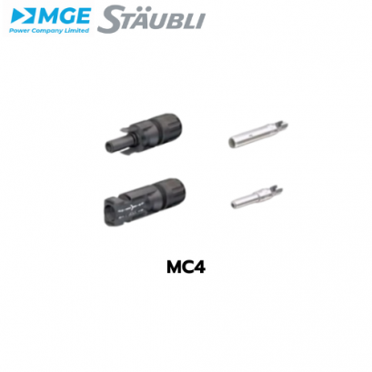 MC4 ตัวผู้กับตัวเมีย