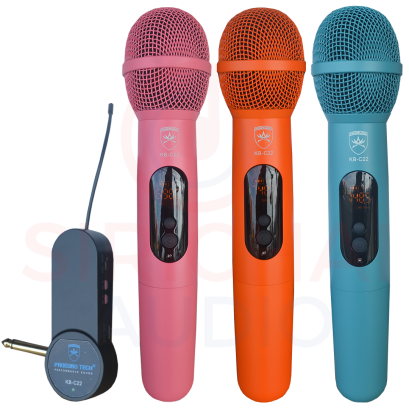 ไมค์ลอยคู่ PROEUROTECH รุ่น KB-C22