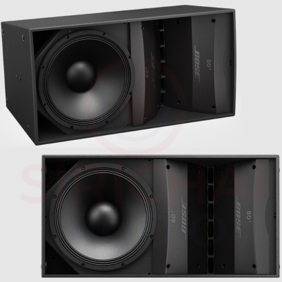 BOSE ArenaMatch AM10/60