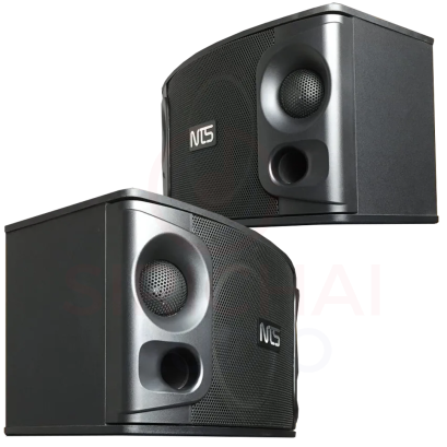 ตู้ลำโพงคาราโอเกะคู่10นิ้ว NTS รุ่น OK105