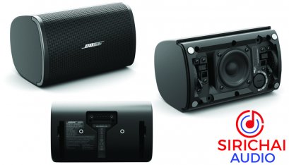 BOSE DM5SE (DesignMax)