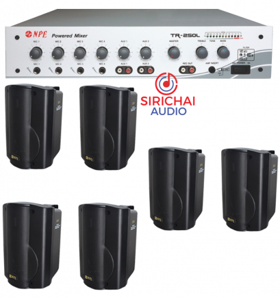 ชุดSET เครื่องเสียง NPE (ร้านขนาดกลาง)