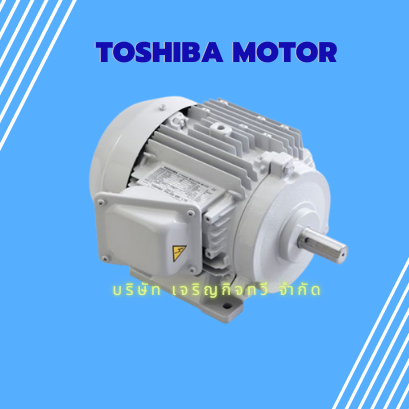 Toshiba Motor