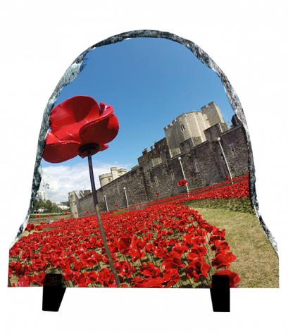 แผ่นหินพิมพ์รูป Flower &amp; Historic Royal palaces