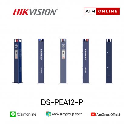 DS-PEA12-P
