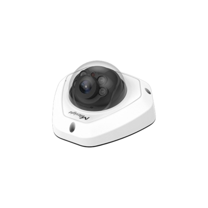 MS-C2973-(R)PD (2MP)