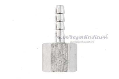 ข้อต่อหางไหลสแตนเลส เกลียวในเสียบสาย (เกลียวใน x หางไหล) ขนาด 3/8&quot;-18 NPT x 6 mm