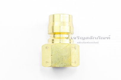 ตัวผู้ คอปเปอร์น้ำแรงดันสูง ทองเหลือง เกลียว 3/4&quot; PT/BSPT