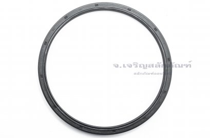 ซีลกันน้ำมัน TC 170-190-13