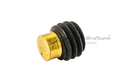 น็อตตัวหนอนดำแข็ง M6x4 เกรด 12.9 ปลายทองเหลือง 4x2 mm