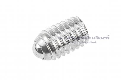 น็อตตัวหนอนปลายลูกปืนสแตนเลส M5x0.8x8