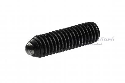 น็อตตัวหนอนปลายลูกปืน M6x1.0x20