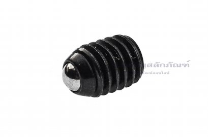 น็อตตัวหนอนปลายลูกปืน M6x1.0x8