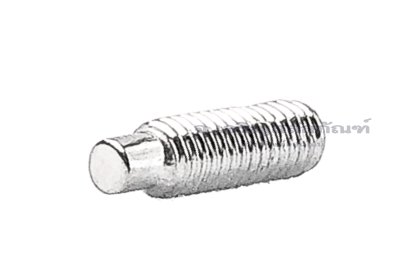 น็อตตัวหนอนสแตนเลส M3x10 ปลายทรงกระบอกขนาด 2x1.2 mm