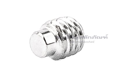 น็อตตัวหนอนสแตนเลส M5x6 ปลายทรงกระบอกขนาด 3.5x1.8 mm