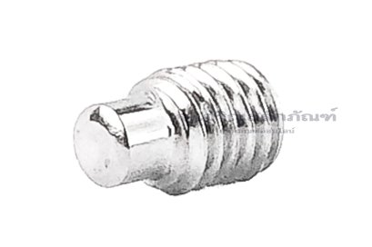 น็อตตัวหนอนสแตนเลส M5x8 ปลายทรงกระบอกขนาด 3.3x2.5 mm