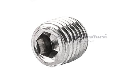 น็อตตัวหนอนสแตนเลส M6x0.75x6