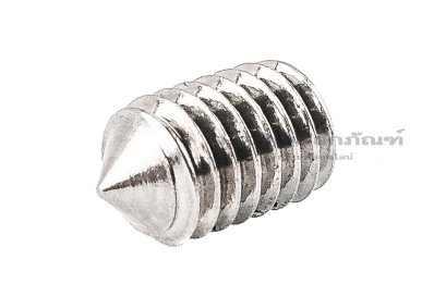 น็อตตัวหนอนสแตนเลส ทรงปลายแหลม M5x8