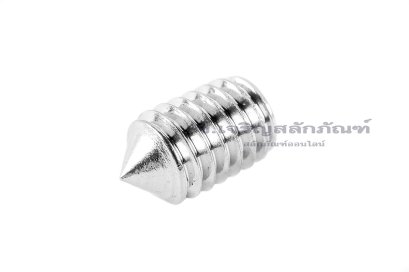 น็อตตัวหนอนสแตนเลส ทรงปลายแหลม M6x10