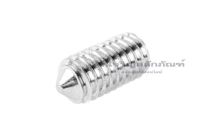 น็อตตัวหนอนสแตนเลส ทรงปลายแหลม M6x12
