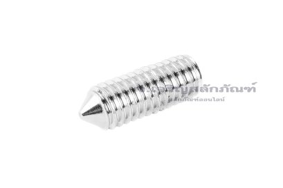 น็อตตัวหนอนสแตนเลส ทรงปลายแหลม M6x16