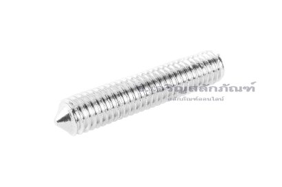 น็อตตัวหนอนสแตนเลส ทรงปลายแหลม M6x30