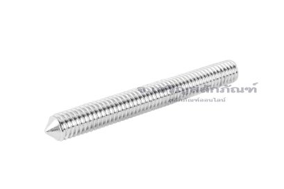น็อตตัวหนอนสแตนเลส ทรงปลายแหลม M6x50