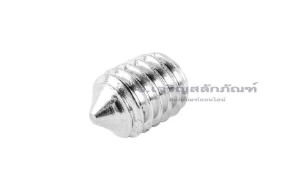 น็อตตัวหนอนสแตนเลส ทรงปลายแหลม M6x8
