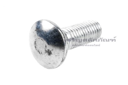 น็อตหัวกลมคอเหลี่ยมชุบขาว ขนาด M10x30 เกลียวตลอด