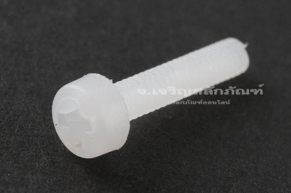 น็อตหัวกลมแฉกพลาสติก M2x10