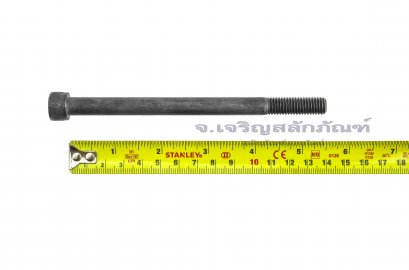 น็อตหัวจมดำแข็ง M10x140