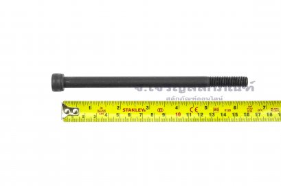 น็อตหัวจมดำแข็ง M10x160