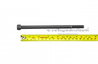 น็อตหัวจมดำแข็ง M10x170