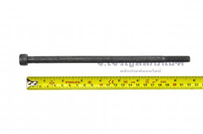 น็อตหัวจมดำแข็ง M10x220