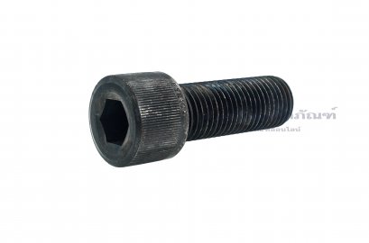 น็อตหัวจมดำแข็ง M27x75