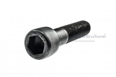 น็อตหัวจมดำแข็ง M16x70