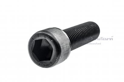 น็อตหัวจมดำแข็ง M20x65