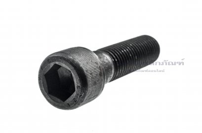 น็อตหัวจมดำแข็ง M20x75