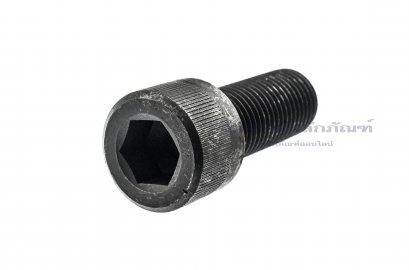 น็อตหัวจมดำแข็ง M22x55