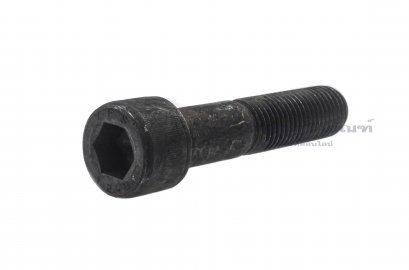 น็อตหัวจมดำแข็ง M24x110