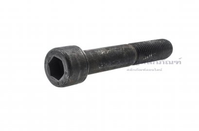 น็อตหัวจมดำแข็ง M24x140