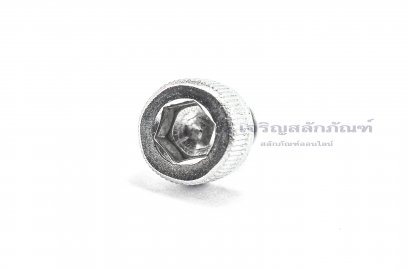 น็อตหัวจมสแตนเลส 3/16&quot; เกลียว (BSW) 24 ยาว 1/4&quot;