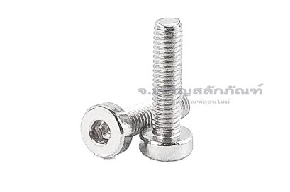 น็อตหัวจมหัวเตี้ยพิเศษ สแตนเลส M3x12 เกลียวตลอด