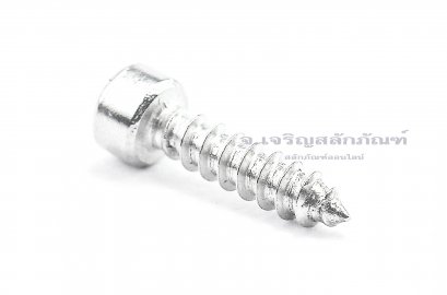 สกรูเกลียวปล่อยหัวจมสแตนเลส (Hex Socket Self Tapping Screw) M4x16