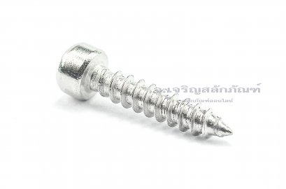 สกรูเกลียวปล่อยหัวจมสแตนเลส (Hex Socket Self Tapping Screw) M4x20