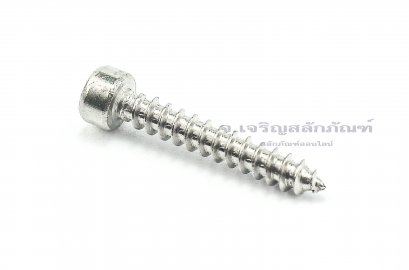 สกรูเกลียวปล่อยหัวจมสแตนเลส (Hex Socket Self Tapping Screw) M4x25