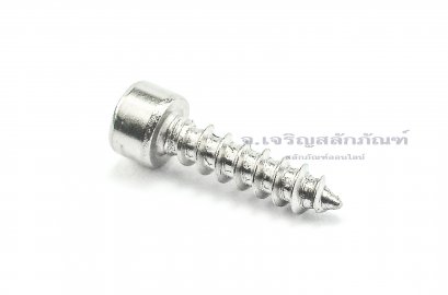 สกรูเกลียวปล่อยหัวจมสแตนเลส (Hex Socket Self Tapping Screw) M5x20