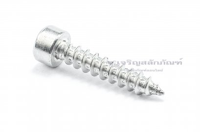 สกรูเกลียวปล่อยหัวจมสแตนเลส (Hex Socket Self Tapping Screw) M5x25