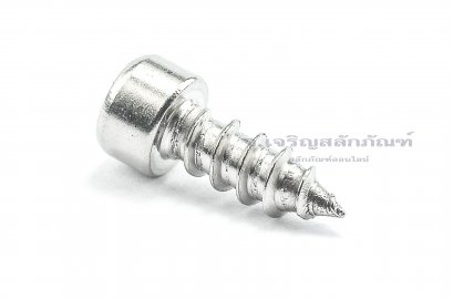 สกรูเกลียวปล่อยหัวจมสแตนเลส (Hex Socket Self Tapping Screw) M6x16