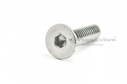 น็อตหัวจมเตเปอร์สแตนเลส 1/4"x1"
